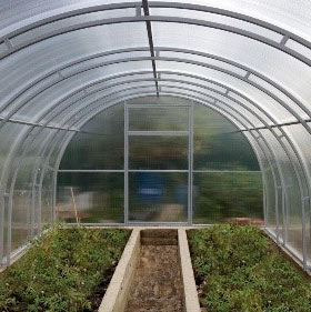 Купить Актуаль