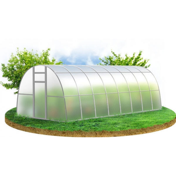 Купить Перчина